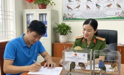 HƯỚNG DẪN CHI TIẾT THỦ TỤC ĐĂNG KÝ NUÔI CHIM RỪNG VÀ CHIM HOANG DÃ