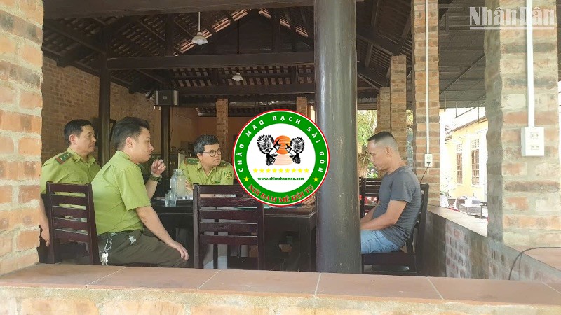 Kiểm lâm TP.HCM khuyến cáo mua bán chim cảnh cần tuân thủ gì?