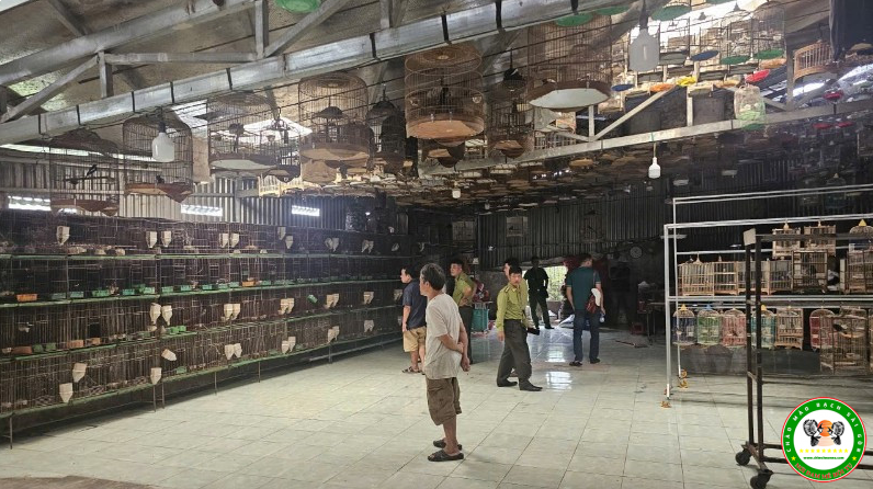 Cục Cảnh sát phòng chống tội phạm về môi trường phối hợp với lực lượng chức năng các địa phương phát hiện, xử lý nhiều cơ sở nuôi, nhốt và mua bán trái phép chim hoang dã.
